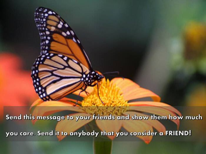 utterfly
inspiring
story