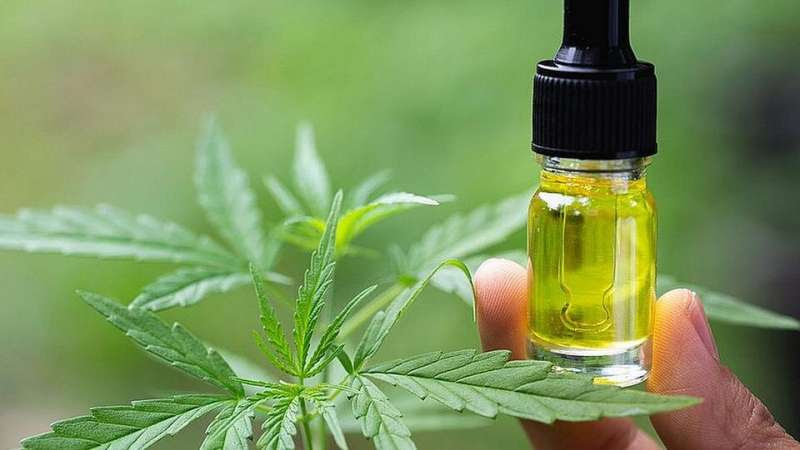 CBD products may help people with epilepsy better tolerate anti-seizure medications