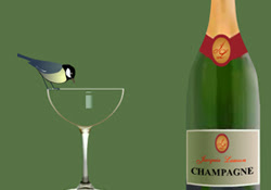 Champagne pour les bonnes occasions(reçu de Josie) 3111904