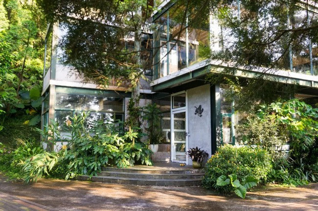 Vị giáo sư độc thân sở hữu ngôi nhà kính trong thung lũng 12.000m² với cuộc sống khó ai tin được - Ảnh 5. Vị giáo sư độc thân sở hữu ngôi nhà kính trong thung lũng 12.000m² với cuộc sống khó ai tin được - Ảnh 5.