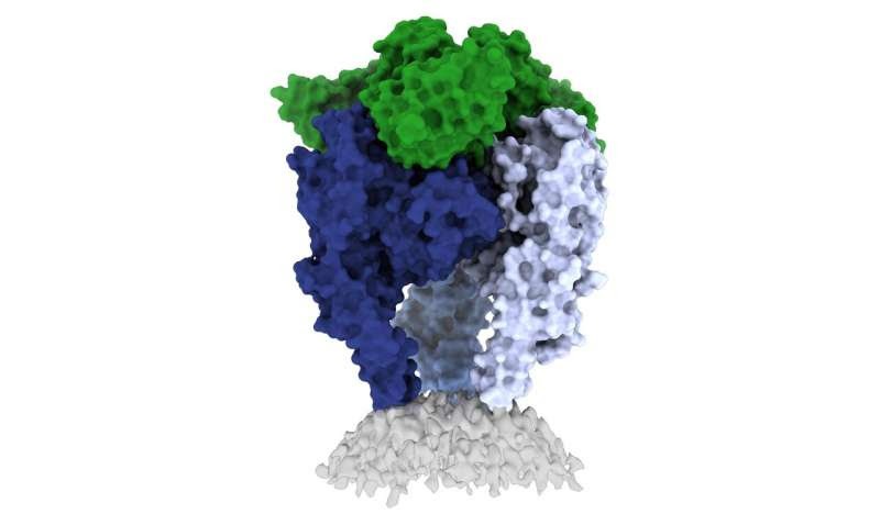 Rethinking the rabies vaccine