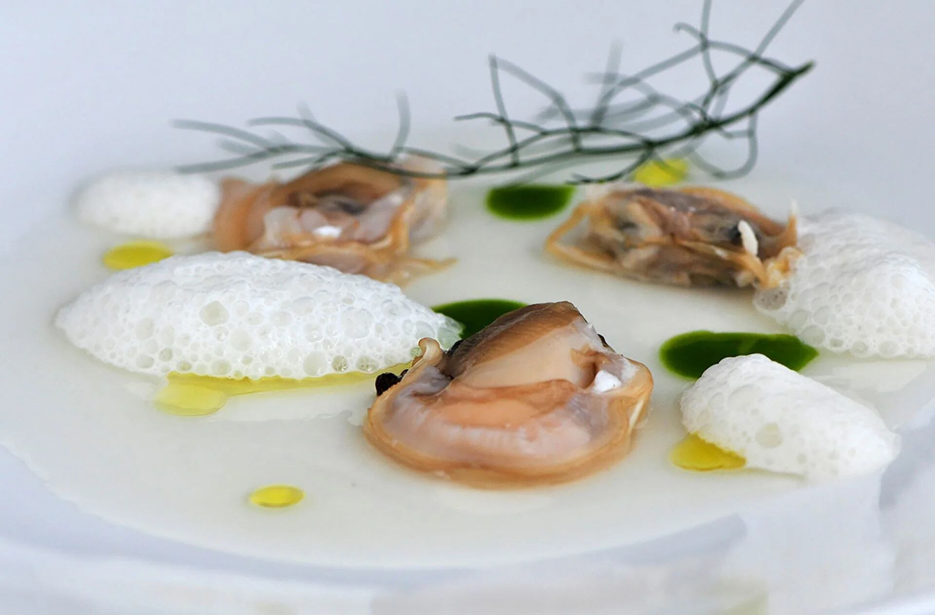 El restaurante Culler de Pau, de Javier Olleros, fue destacado por National Geographic en el listado. El lugar tiene al pescado como uno de los insumos predilectos de sus platos. En la foto se puede ver una de sus recetas (Culler de Pau)