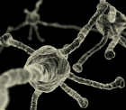 neuronal_network neuronal_network