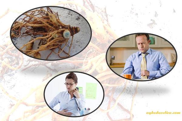 Công dụng của nghệ đen chữa chứng nôn, đầy hơi, ợ chua