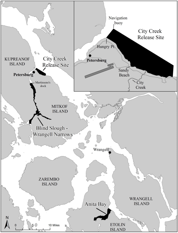 Sport Fishing For King Salmon Opens In Hatchery Areas Near Petersburg And Wrangell