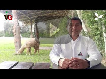 Viveros Genésis, el estándar de crecimiento para la agricultura peruana (VIDEO)