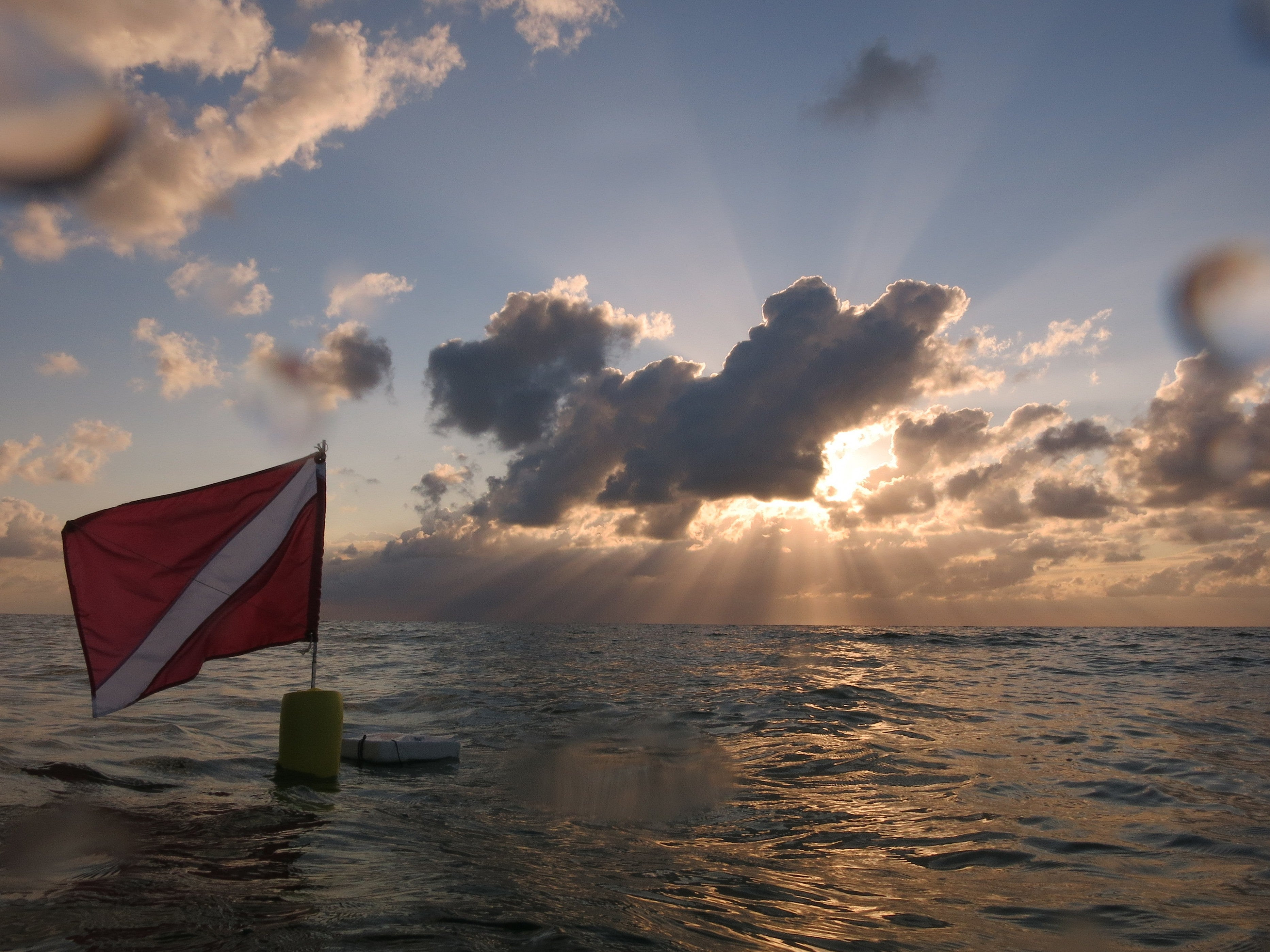 Hugh Taylor Birch Diver Flag