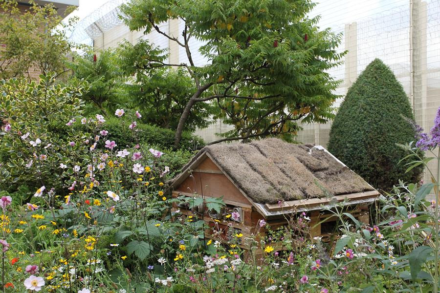 Hull prison garden