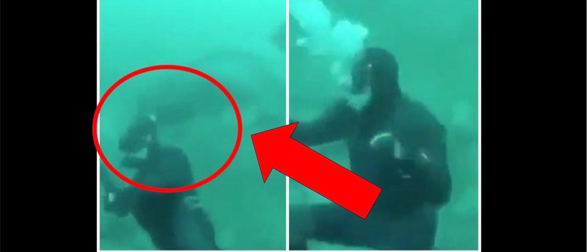 Man Narrowly Avoids A Gigantic Shark In Terrifying Viral Video