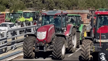 Colère des agriculteurs : la circulation perturbée sur l'A9 en raison d'un mouvement en Espagne