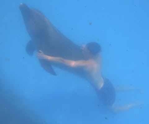 Logan-swimming-with-dolphin