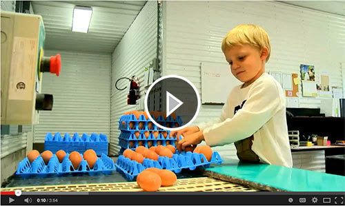 A photo of a boy organizing organic eggs