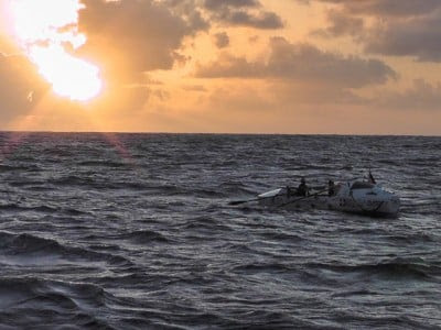 'The Ocean is Dying': Marine, Animal Life Die Offs, California Coast: Pacific Ocean is 'Turning Into a Desert'