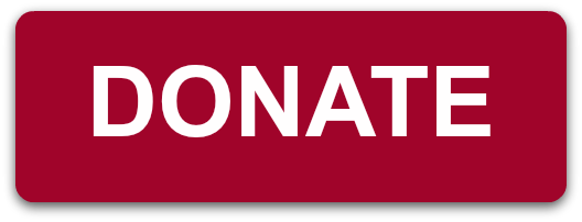 Image result for donate button