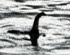 Loch Ness Monster sighted