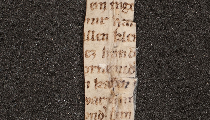 Fragment of 'The Rose Thorn,' a Poem About a Talking Vulva, Dated to the 1300s