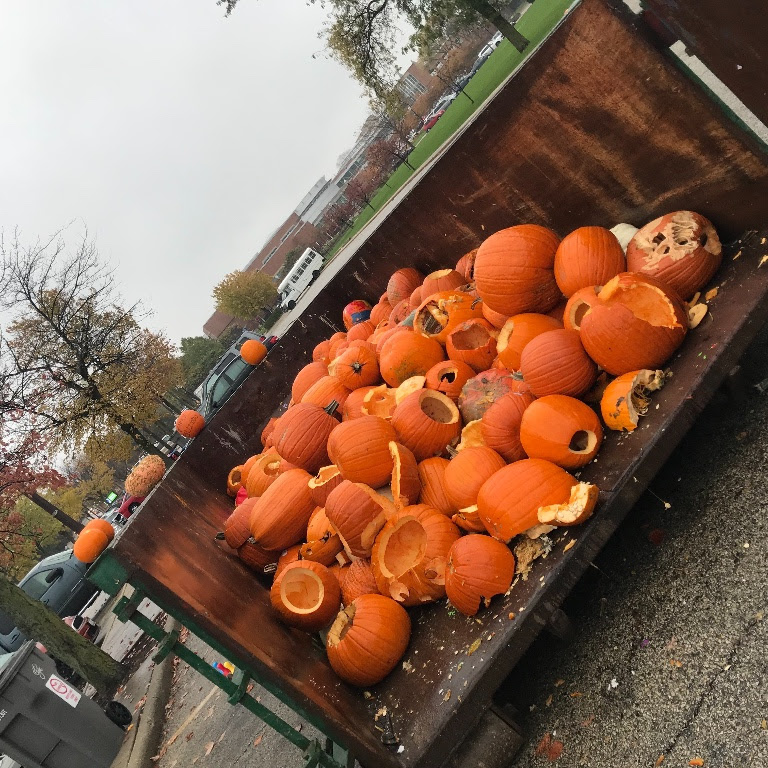 pumpkin composting