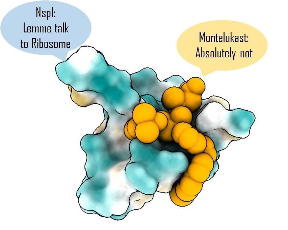Image Text: ″Nsp1: 'Lemme talk to Ribosome' Montelukast: 'Absolutely not'″