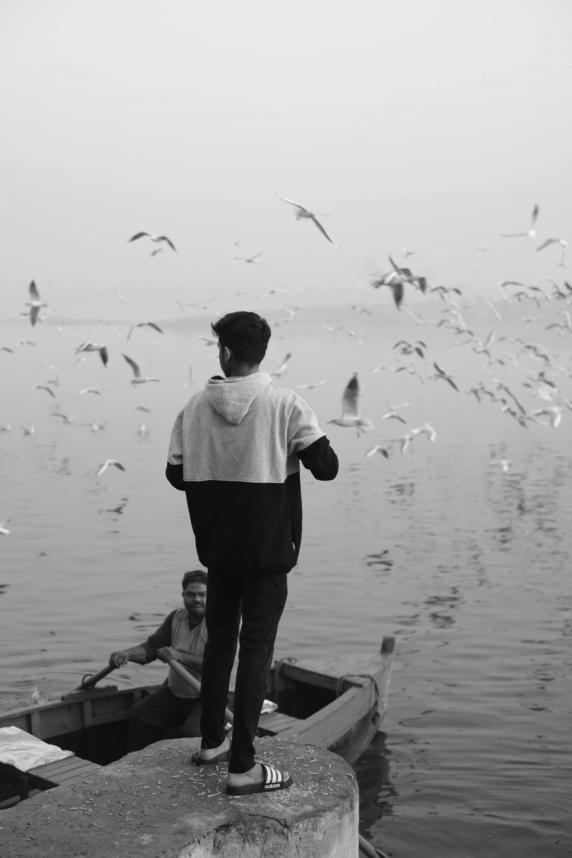 bras et ombre sur fond vert Homme regardant la mer avec des mouettes