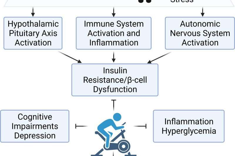 Exercise may treat long COVID-induced diabetes, depression