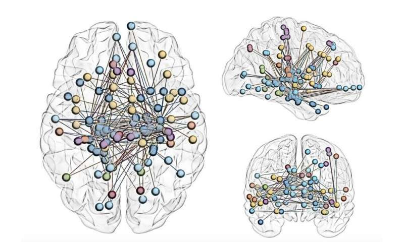 Mapping the subcortex, the most ancient part of the brain