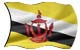 flags/Brunei