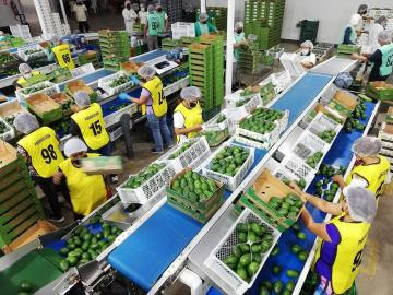 ADEX: Exportaciones peruanas de alimentos a Corea del Sur sumaron US$ 74 millones, mostrando un aumento de 42.7% en primer bimestre de 2022