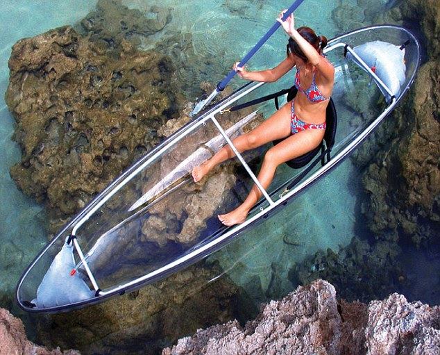 Tests: During testing coral farms,  underwater sea life and pods of dolphins were viewed in the kayaks