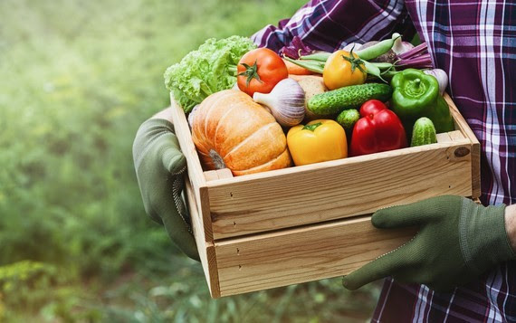 Basket of Fruits