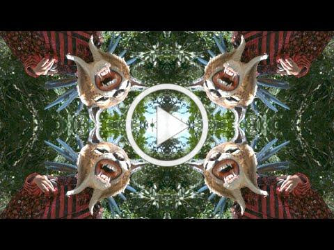 Cienfue - Life in the Tropics