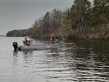 Electrofishing on Lake Gogebic