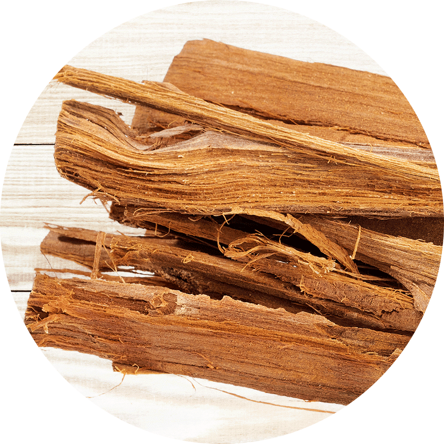 cats claw bark on wooden background