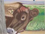 Jersey Cow 2 - Posted on Sunday, December 14, 2014 by Elaine Shortall