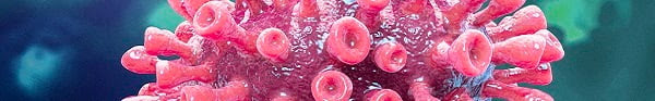 Coronavirus CR: Maurizio De Angelis