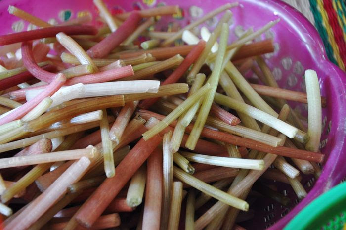 mon-an-mien-tay-mua-nuoc-noi-2