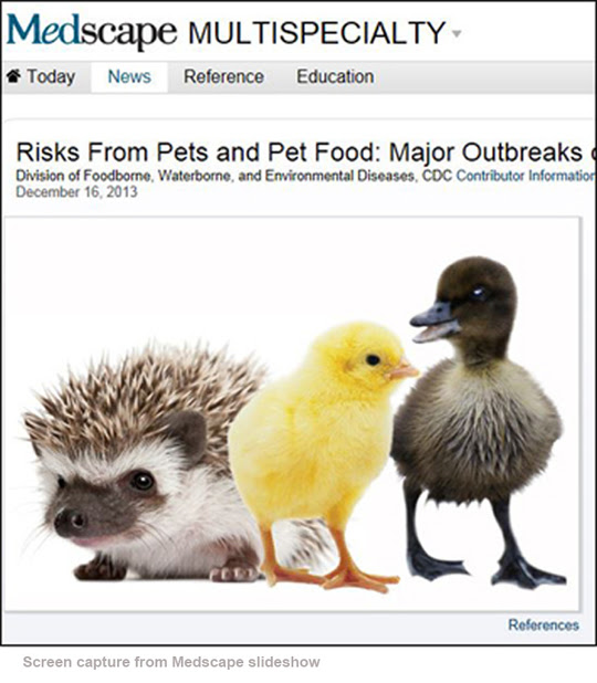 Screen capture from Medscape slideshow, "Risks from Pets and Pet Food," depicting baby hedgehog, chick, and duckling