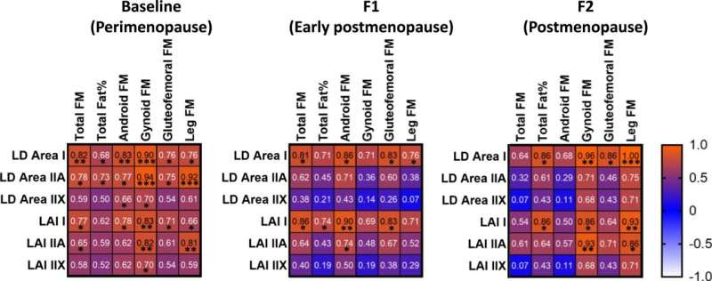 Menopause and the health risks associated with increased adiposity