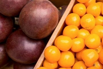 Exportaciones de frutas exóticas de Colombia sumaron US$ 37.8 millones en el primer cuatrimestre del 2021, mostrando un incremento de 27.5%