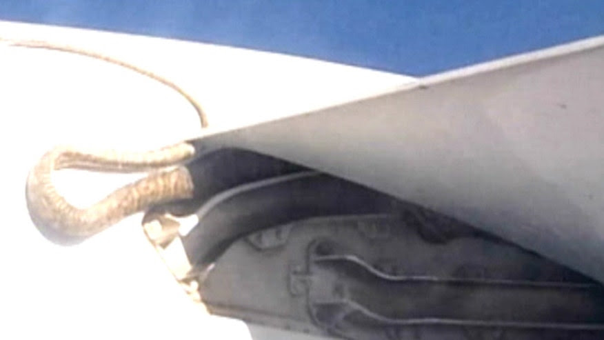 Passengers discover reptile during two-hour flight; creature was reportedly dead upon arrival