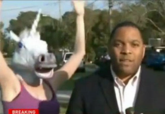 Reporter Videobombed By A Unicorn Wearing A Tutu (Video)