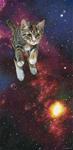 Space Kitty I - Posted on Tuesday, March 31, 2015 by Susan Van Sant