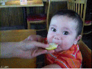 Baby first time experiencing the taste of sour: gifs. Babies Experiencing Things for the First Time Baby first time experiencing the taste of sour: gifs. Babies Experiencing Things for the First Time