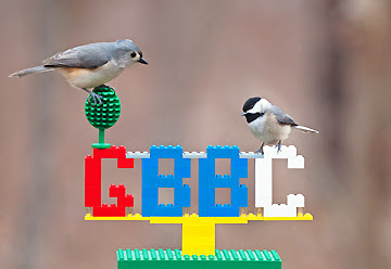 birds investigating Lego sculpture, by Gary Mueller