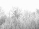 Device turns falling snow into electricity