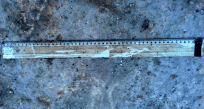 Improvised explosive device camouflaged as ruler