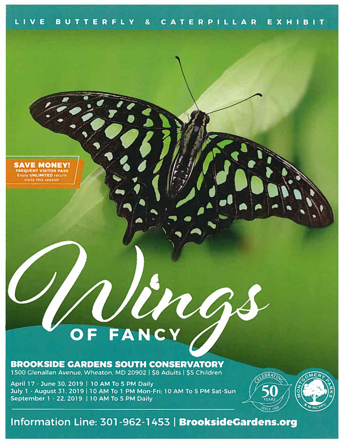 Wings of Fancy Summer Hours at Brookside Gardens, Wheat