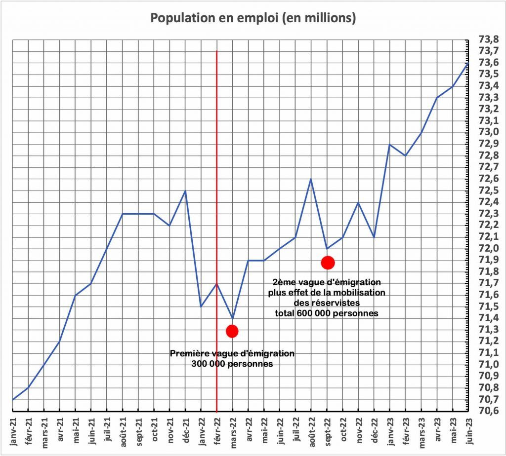 Grafico 8