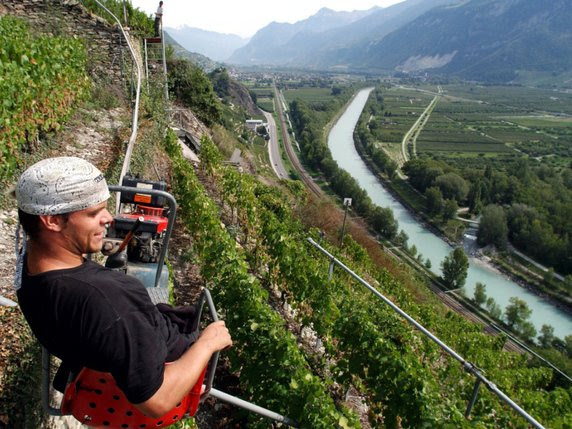 Le canton du Valais contribue au financement de la sauvegarde du vignoble en terrasses de Sion © Keystone