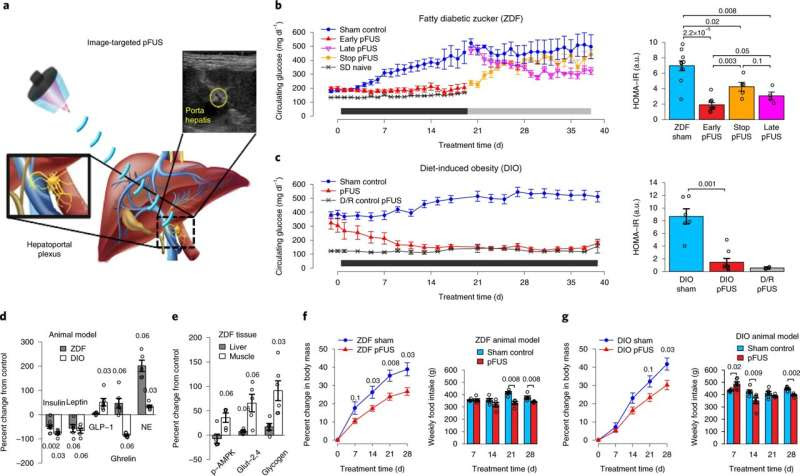 Treating diabetes without drugs? Novel non-pharmacologic treatments are on the horizon