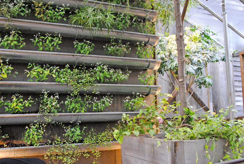 Turn a Small Space Into a Big Harvest  Gutter